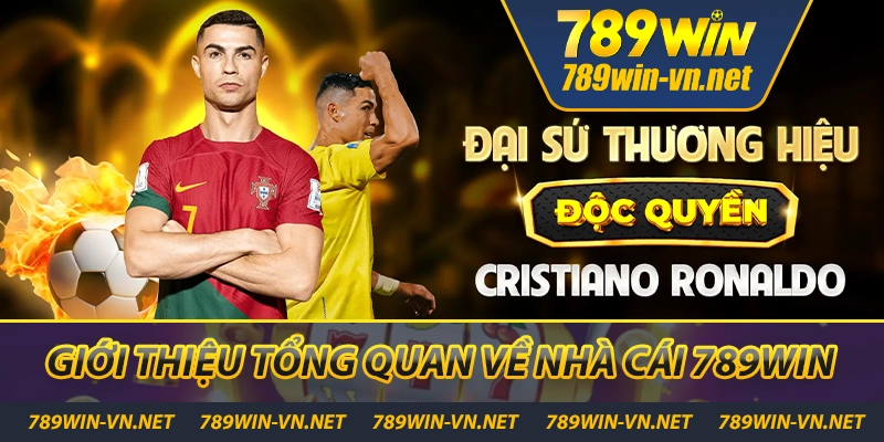 Tổng quan về nhà cái 789WIN